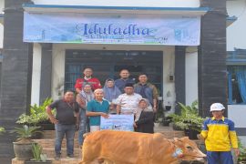 Pelindo Batulicin salurkan hewan kurban ke masyarakat