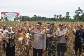 Panen raya jagung Polda Papua Barat capai 12,2 ton