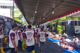 Panitia Masjid Jogokariyan sembelih 126 hewan kurban dalam sehari