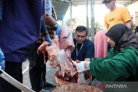 Dispaperta Sidoarjo pastikan hewan kurban di Sidoarjo aman dikonsumsi