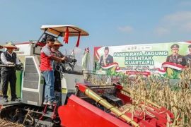 Polda Jatim libatkan 5.739 personel dalam penanaman jagung serentak