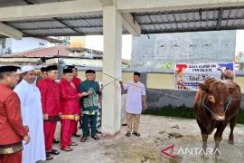 Pemkab Gorontalo serahkan sapi kurban bantuan Presiden Prabowo