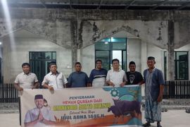 Bau wangi muncul saat penyembelihan sapi kurban ponakan presiden di Belitung