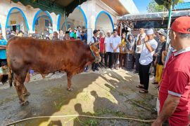 Bupati HSU serahkan hewan kurban bantuan Presiden Prabowo