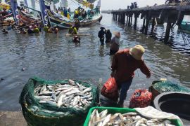 HNSI dorong nelayan Jembrana lebih modern