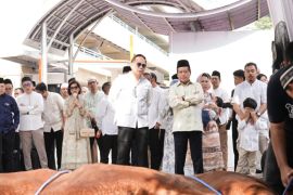 Bapekis dan Karyawan BRI salurkan 961 hewan kurban