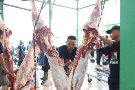 Masjid Al-Azhom Tangerang distribusikan 5.000 paket daging kurban