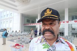 Papua Pegungan dorong penanaman padi di 8 kabupaten