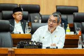 Alfons Manibui: Perlu evaluasi menyeluruh izin tambang di Raja Ampat