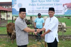 Polda Kaltara Laksanakan Pemotongan Hewan Kurban di Hari Raya Idul Adha 1446 H