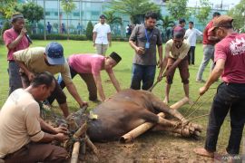 Lapas Cikarang salurkan 140 paket daging kurban kepada warga