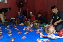 Majelis Nuruz Zholam kurban sapi dan kambing untuk Yatim dan Dhuafa