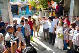 President donates sacrificial cow for Palu disaster survivors