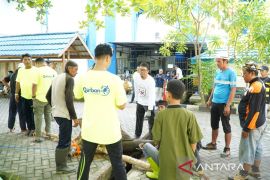 ULM kurban lima sapi pada Idul Adha 1446 Hijriah