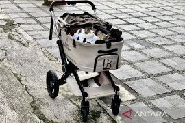 Gaya Bobby Kertanegara pakai koko putih saat Idul Adha