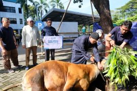 PLN UIP Sulawesi salurkan 770 kg daging kurban dan gelar khitan massal