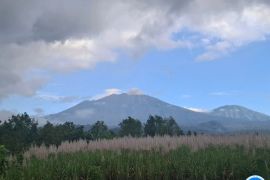 Gunung Raung  kembali erupsi dengan letusan 400 meter di atas puncak