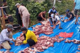 Kurban meningkat, ribuan berkah mengalir dari Pondok Tahfizh Menara Sembilan