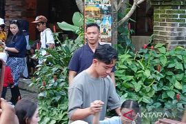 Wapres Gibran sekeluarga membatik di Borobudur