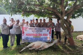 Polsek Kualuhhulu sembelih dua lembu, 130 paket daging dibagikan