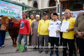 Presiden Prabowo beli sapi peternak Tapin seharga Rp103 juta