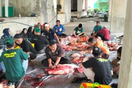 PWNU Jatim bagikan 600 bungkus daging kurban