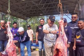 DPD Partai Nasdem Tabalong salurkan sapi kurban bagi masyarakat