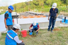 PLN menanam pohon dukung penghijauan di lingkungan PLTD Golo Bilas-NTT