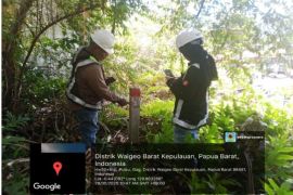 Kemenhut siapkan langkah hukum terkait kegiatan tambang di kawasan Raja Ampat