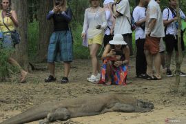 Indonesia to tighten tourist quota to Padar Island in Komodo Park