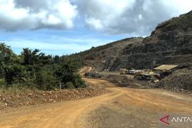 Gag Island mine: No environmental issues found in initial review