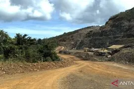 Gag Island mine: No environmental issues found in initial review