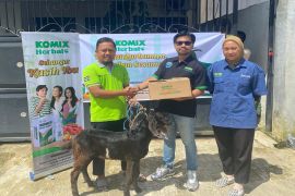 Bintang Toedjoe salurkan hewan kurban ke masyarakat "Bumi Bersujud"