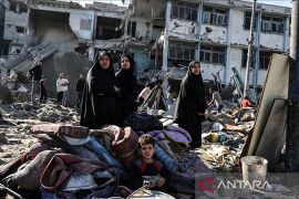 Korban tewas di Gaza hampir 54.800 jiwa saat Muslim rayakan Idul Adha