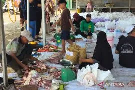 UPZ Al Khair Barabai sembelih delapan sapi dan empat kambing kurban Idul Adha 1446 H