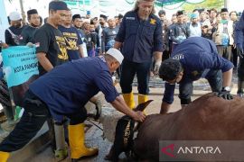 Masjid Kubah Timah Pangkalpinang bagikan 850 kupon daging kurban