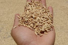 Pemkab Pasaman sebut stok Pangan aman di Idul Adha