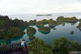 MITI minta pemerintah tindak tegas tambang nikel yang rusak lingkungan di Raja Ampat