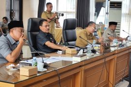 Anggota Banggar DPRD Kalsel soroti KUA-PPAS RAPBD-P 2025