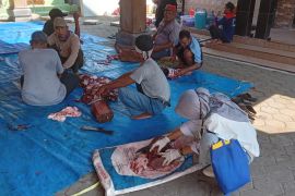 Kudus siap edukasi panitia kurban agar periksa kesehatan  hewan mandiri