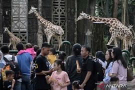 Puluhan  ribu pengunjung padati Ragunan saat libur Idul Adha