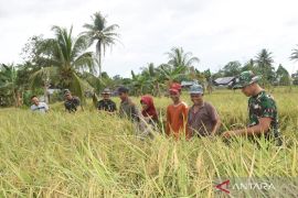 TMMD ke-124 sukses wujudkan kedaulatan pangan di Pengambau Hilir Luar