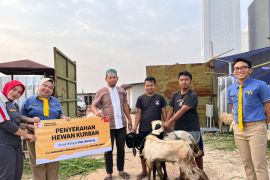 McDonald's Indonesia salurkan 76 hewan kurban ke lebih 40 wilayah di Indonesia