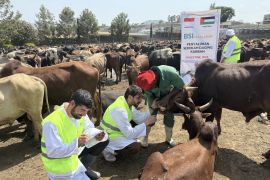 BSI Maslahat salurkan kurban buat Palestina dalam bentuk daging kaleng