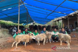 Grab bagikan ratusan ekor kambing kurban termasuk di Banjarmasin