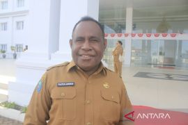 Pemkab Jayawijaya dorong ekraf 328 kampung melalui produk noken