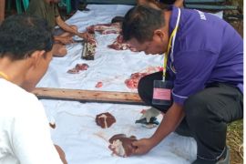 Distan Mataram validasi data jumlah hewan kurban 2025