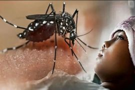 Bandarlampung imbau warga aktif lakukan PSN cegah DBD