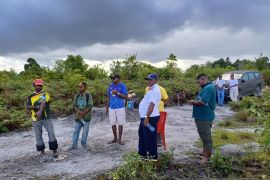 Pemkab Maybrat lakukan pematangan lahan dukung program MBG