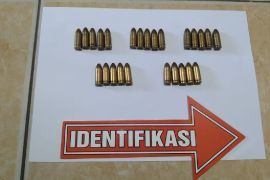 Satgas Gakkum Damai Cartenz amankan 25 butir amunisi milik KKB